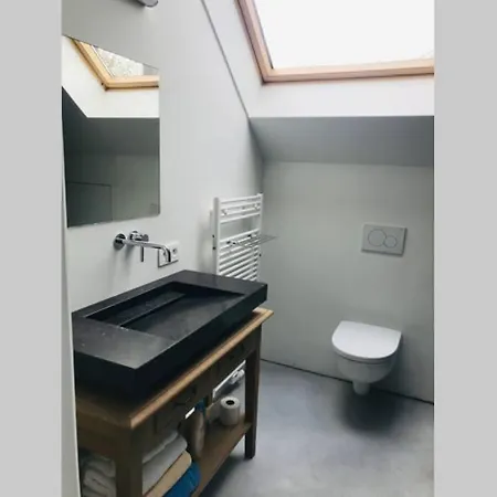 House With Garden Near City Centre *