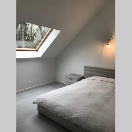 House With Garden Near City Centre *