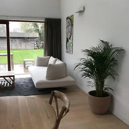 House With Garden Near City Centre